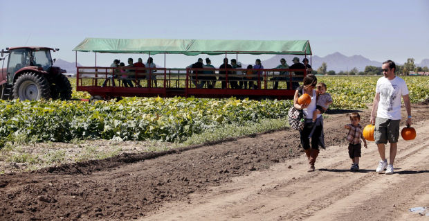 Pumpkin Patch and Farm Festival